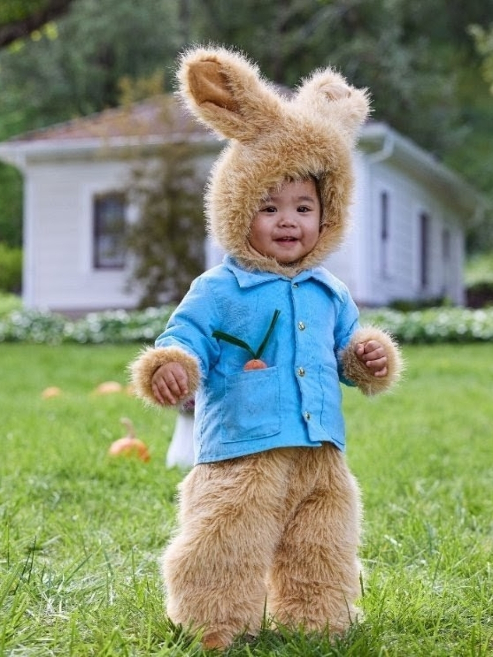 Pottery Barn Peter Rabbit Infant Costume (6 months)